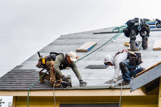 Professional Gutter Installation technician working in Albany, TX